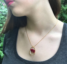 Load image into Gallery viewer, Dried Rose Trimmed in Gold Necklace