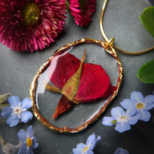 Load image into Gallery viewer, Dried Rose Trimmed in Gold Necklace