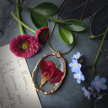 Load image into Gallery viewer, Dried Rose Trimmed in Gold Necklace