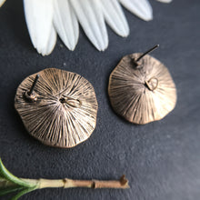 Load image into Gallery viewer, Layered Circle Earrings