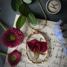 Load image into Gallery viewer, Dried Rose Trimmed in Gold Necklace