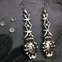 Load image into Gallery viewer, Silver Sparkly Drop Earrings